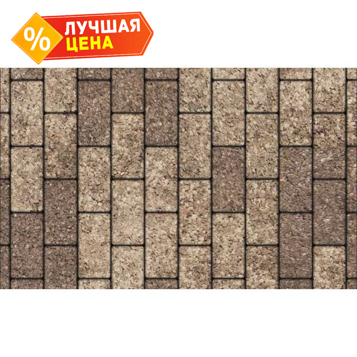 Плитка тротуарная Прямоугольник (Ла-Линия) В.2.П.10 Листопад гранит xаски 200x100x100 мм