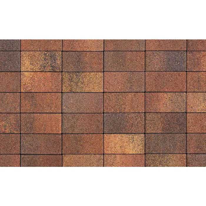 Плитка тротуарная Прямоугольник (Ла-Линия) В.2.П.10 Листопад гладкий Арабская ночь 200x100x100 мм